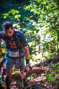 BIB: 9431, 001
                            <button type="button" onclick="openModal(19329702)" class="btn btn-primary btn-sm float-right btn-popup" data-toggle="modal" data-target=".modal-high-quality">
                        <i class="fas fa-shopping-cart"></i> Add to Cart
                    </button>
                                            <button type="button" onclick="isThisMe(19329702, true)" class="btn btn-success btn-sm float-right btn-popup btn-isme hidden" data-toggle="tooltip" data-placement="bottom" title="นี่คือรูปของคุณใช่ไหม คลิกที่นี่เพื่อเอาเข้าอัลบั้ม">
                        <i class="fas fa-plus"></i> Add to album
                    </button>
                    <button type="button" onclick="isThisMe(19329702, false)" class="btn btn-warning btn-sm float-right btn-popup btn-isnotme hidden">
                        <i class="fas fa-ban"></i> Remove from album
                    </button>